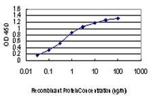 Detection limit for recombinant GST tagged KSR2 is approximately 0. (KSR2 antibody  (AA 411-500))