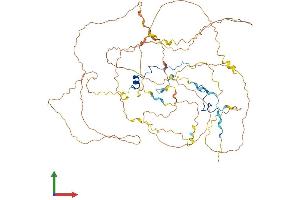 AlphaFold protein structure predicition of Mouse Recombinant Casc3 Protein, UniprotID Q8K3W3