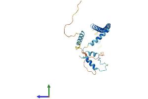 AlphaFold protein structure predicition of Mouse Recombinant Cltb Protein, UniprotID Q6IRU5 (CLTB Protein (AA 1-229) (His tag))
