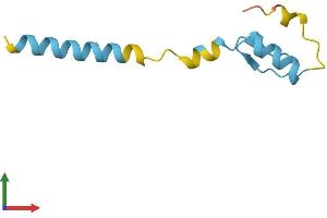 AlphaFold protein structure predicition of Human Recombinant ZNF706 Protein, UniprotID Q9Y5V0
