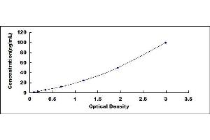 Typical standard curve (STAT3 ELISA Kit)