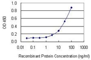 Detection limit for recombinant GST tagged RAB34 is 1 ng/ml as a capture antibody. (RAB34 antibody  (AA 170-259))