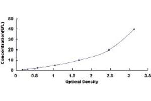 Typical standard curve (MPP2 ELISA Kit)