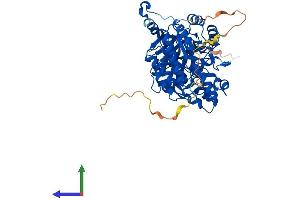 AlphaFold protein structure predicition of Human Recombinant DPYSL2 Protein, UniprotID Q16555