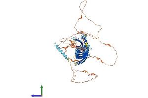AlphaFold protein structure predicition of Human Recombinant JPH2 Protein, UniprotID Q9BR39 (Junctophilin 2 Protein (JPH2) (AA 1-696) (His tag))