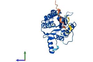 Protein Structure (PS) image for Phosphatase, Orphan 1 (PHOSPHO1) (AA 1-267) protein (His tag) (ABIN7559691)