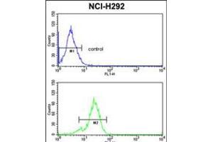 Flow cytometric analysis of NCI-H292 cells (bottom histogram) compared to a negative control cell (top histogram). (TDG antibody  (N-Term))