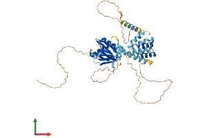 AlphaFold protein structure predicition of Mouse Recombinant Ccm2 Protein, UniprotID Q8K2Y9