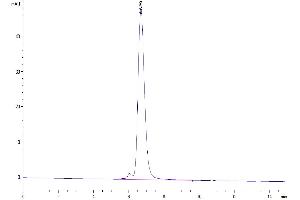 Size-exclusion chromatography-High Pressure Liquid Chromatography (SEC-HPLC) image for CD47 (CD47) (AA 19-139) protein (Fc Tag) (ABIN7274225)