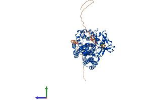 Protein Structure (PS) image for SET Domain Containing 3 (SETD3) (AA 1-594) protein (His tag) (ABIN7560027)