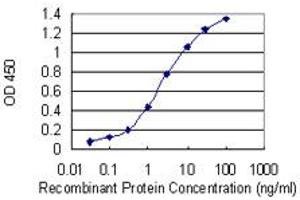 Detection limit for recombinant GST tagged MTSS1 is 0. (MTSS1 antibody  (AA 346-445))