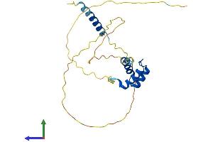 AlphaFold protein structure predicition of Human Recombinant TGIF2LX Protein, UniprotID Q8IUE1