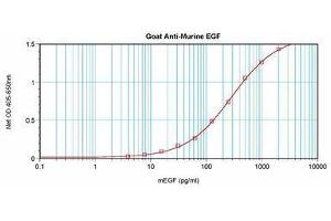 Image no. 1 for anti-Epidermal Growth Factor (EGF) antibody (ABIN465058) (EGF antibody)