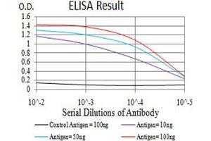 Black line: Control Antigen (100 ng);Purple line: Antigen (10ng); Blue line: Antigen (50 ng); Red line:Antigen (100 ng) (MITF antibody  (AA 1-114))