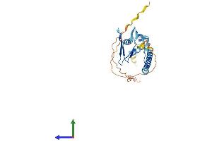 Protein Structure (PS) image for E2F Transcription Factor 6 (E2F6) (AA 1-281) protein (His tag) (ABIN7547202)