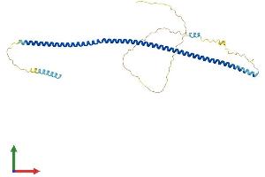 Protein Structure (PS) image for Dystrobrevin Binding Protein 1 (DTNBP1) (AA 1-352) protein (His tag) (ABIN7564805)