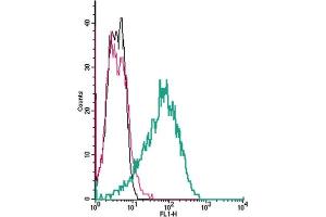 Cell surface detection of  by indirect flow cytometry in live intact human  megakaryocytic leukemia cells: + goat-anti-rabbit-FITC.
