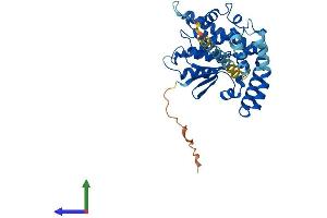 AlphaFold protein structure predicition of Human Recombinant GDAP1 Protein, UniprotID Q8TB36 (GDAP1 Protein (AA 1-358) (His tag))