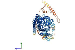 AlphaFold protein structure predicition of Human Recombinant SLC32A1 Protein, UniprotID Q9H598 (SLC32A1 Protein (AA 1-525) (His tag))