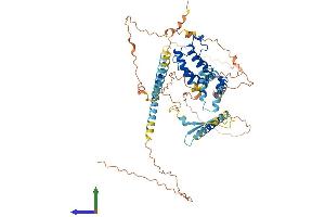 AlphaFold protein structure predicition of Mouse Recombinant Brd9 Protein, UniprotID Q3UQU0 (BRD9 Protein (AA 1-596) (His tag))