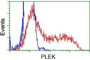HEK293T cells transfected with either pCMV6-ENTRY PLEK (RC203780) (Red) or empty vector control plasmid (Blue) were immunostained with anti-PLEK mouse monoclonal (ABIN2453485), and then analyzed by flow cytometry. (Pleckstrin antibody)
