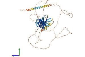 AlphaFold protein structure predicition of Mouse Recombinant Syt16 Protein, UniprotID Q7TN83