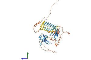 AlphaFold protein structure predicition of Human Recombinant DAZ4 Protein, UniprotID Q86SG3 (DAZ4 Protein (AA 1-579) (His tag))