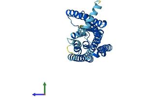 AlphaFold protein structure predicition of Human Recombinant OR4M1 Protein, UniprotID Q8NGD0 (OR4M1 Protein (AA 1-313) (His tag))