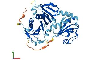 AlphaFold protein structure predicition of Human Recombinant CAPG Protein, UniprotID P40121