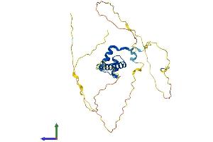 Protein Structure (PS) image for Msh Homeobox 1 (MSX1) (AA 1-303) protein (His tag) (ABIN7549531)