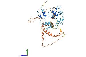 AlphaFold protein structure predicition of Mouse Recombinant Osr2 Protein, UniprotID Q91ZD1