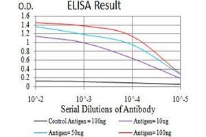 Black line: Control Antigen (100 ng);Purple line: Antigen (10ng); Blue line: Antigen (50 ng); Red line:Antigen (100 ng) (MUC5AC antibody  (AA 5528-5627))