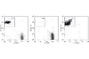 Flow Cytometry (FACS) image for Anti-Mouse Ter-119 Magnetic Particles (ABIN1305245) (Anti-Mouse Ter-119 Magnetic Particles)