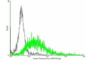 FACS analysis of negative control 293 cells (Black) and ROM1 expressing 293 cells (Green) using ROM1 purified MaxPab mouse polyclonal antibody. (ROM1 antibody  (AA 1-351))