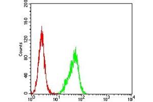 Flow Cytometry (FACS) image for anti-Chromogranin A (CHGA) (AA 278-457) antibody (ABIN7193659)