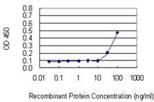 Detection limit for recombinant GST tagged C11orf17 is 3 ng/ml as a capture antibody. (AKIP1 antibody  (AA 111-210))