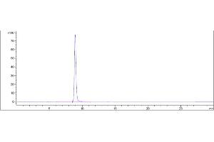 The purity of Anti-PMEL Reference Antibody (Genentech anti-PMEL17) is 99. (Recombinant Melanoma gp100 antibody)