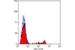 Staining of human peripheral blood lymphocytes with MOUSE ANTI HUMAN CD8:FITC (ABIN119507). (CD8 antibody  (FITC))