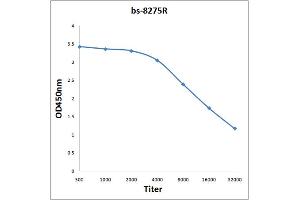 Antigen: 0. (GPRIN1 antibody  (AA 101-200))