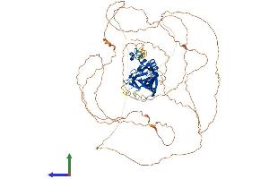 Protein Structure (PS) image for Eomesodermin (EOMES) (AA 1-707) protein (His tag) (ABIN7562429)