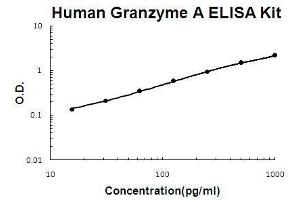 Human Granzyme A PicoKine ELISA Kit standard curve (GZMA ELISA Kit)