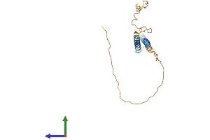 Protein Structure (PS) image for Neurensin 2 (NRSN2) (AA 1-202) protein (His tag) (ABIN7557461)
