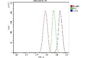 Flow Cytometry analysis of HepG2 cells using anti-CPN1 antibody (ABIN7600158). (CPN1 antibody  (AA 158-208))