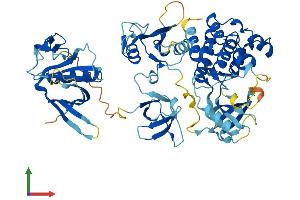 Protein Structure (PS) image for IL2-Inducible T-Cell Kinase (ITK) (AA 1-620) protein (His tag) (ABIN7554214)