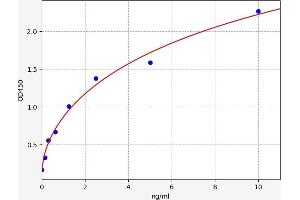 PRPSAP1 ELISA Kit