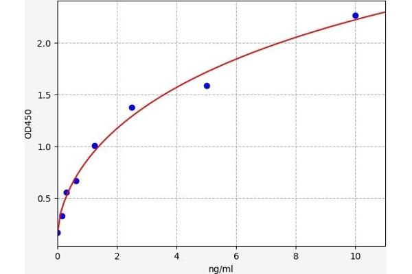 PRPSAP1 ELISA Kit