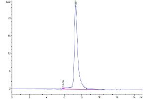 Size-exclusion chromatography-High Pressure Liquid Chromatography (SEC-HPLC) image for C-Mer Proto-Oncogene Tyrosine Kinase (MERTK) (AA 21-505) protein (His tag) (ABIN7275242)