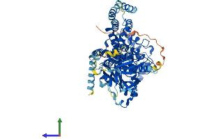 Protein Structure (PS) image for Adrenergic, Beta, Receptor Kinase 2 (ADRBK2) (AA 1-688) protein (His tag) (ABIN7557313)