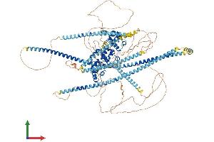 AlphaFold protein structure predicition of Human Recombinant PPFIA2 Protein, UniprotID O75334 (PPFIA2 Protein (AA 1-1257) (His tag))