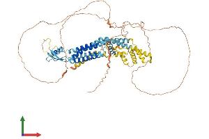 AlphaFold protein structure predicition of Mouse Recombinant Panx2 Protein, UniprotID Q6IMP4
